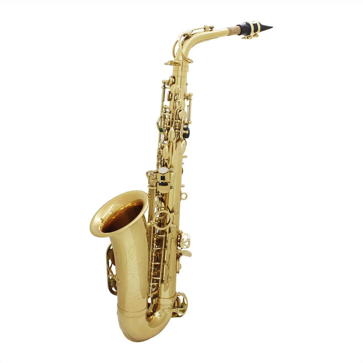 Alto Saxophone Set M565518