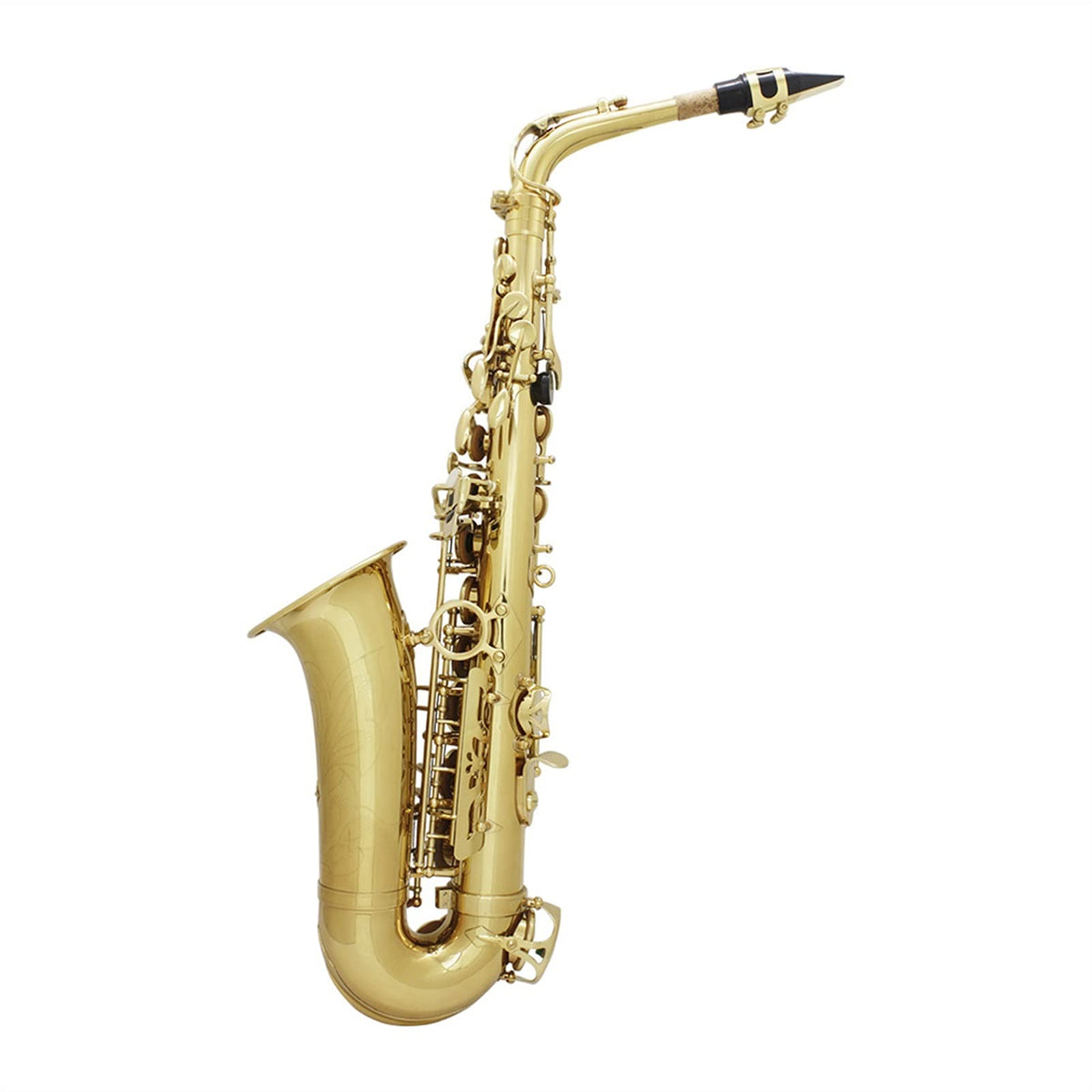 Alto Saxophone Set M565518