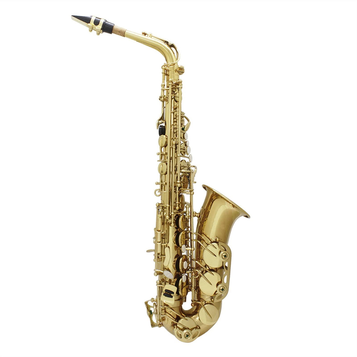 Alto Saxophone Set M565518