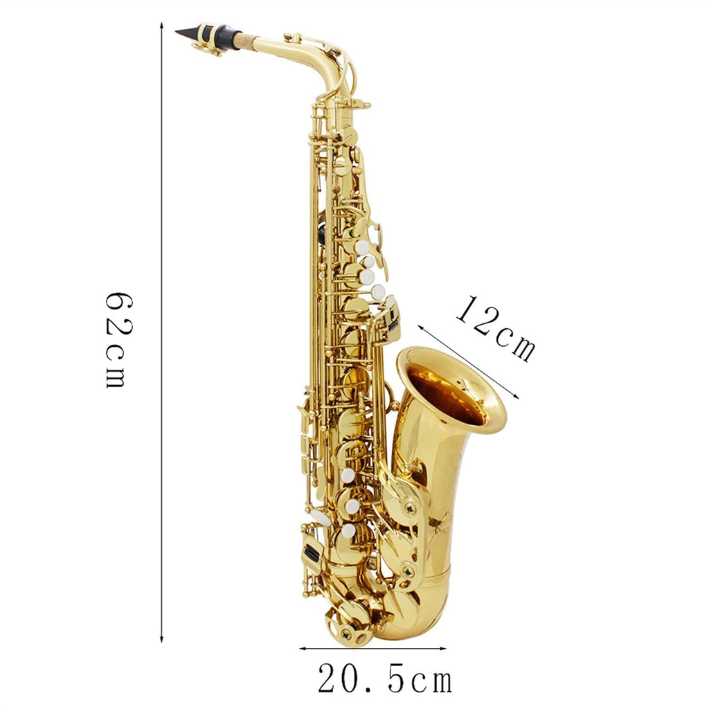 Alto Saxophone Set M565518