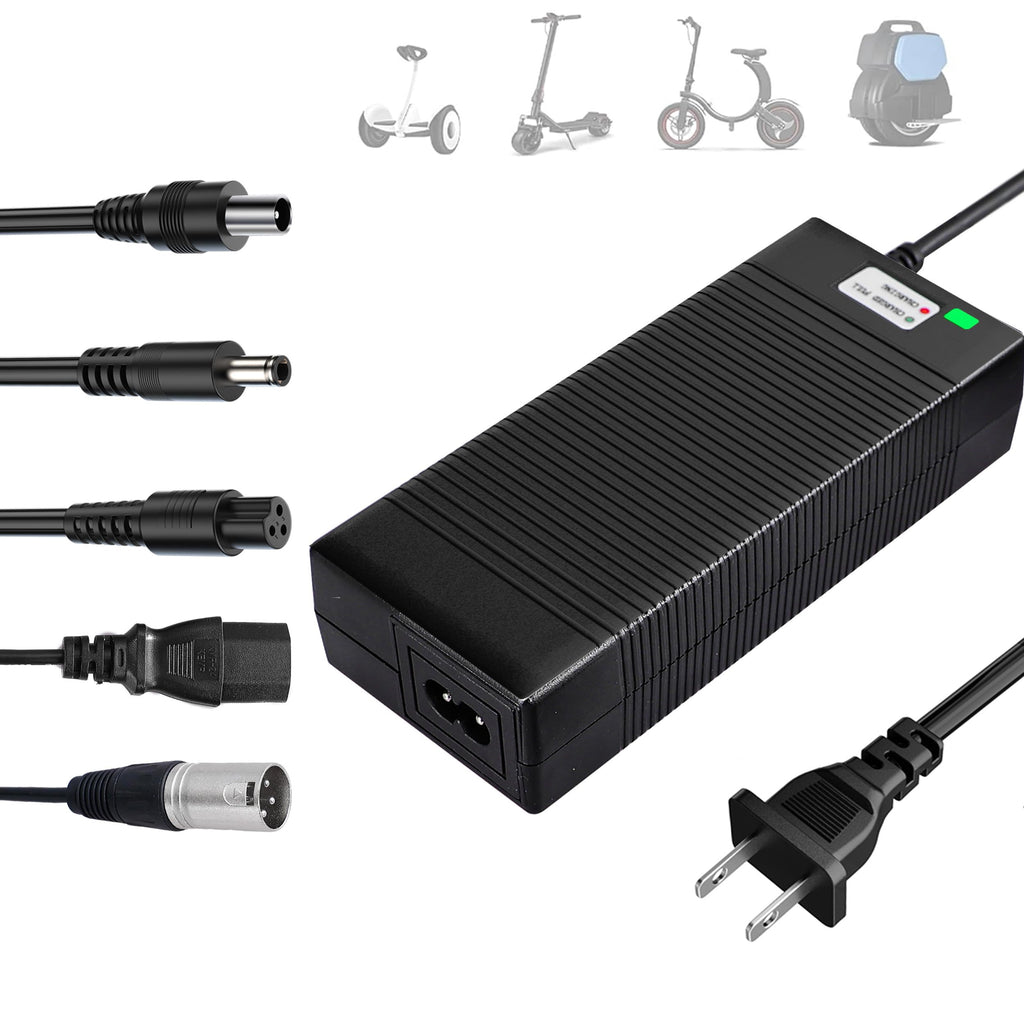 54.6V Charger for 48V Lithium Batteries L377