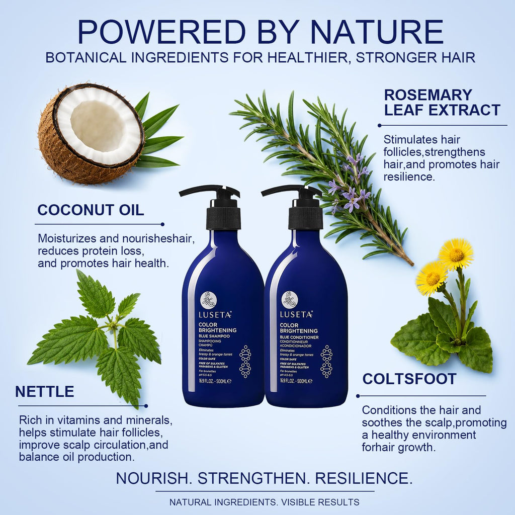 Blue Shampoo & Conditioner Set 2x16.9oz L423