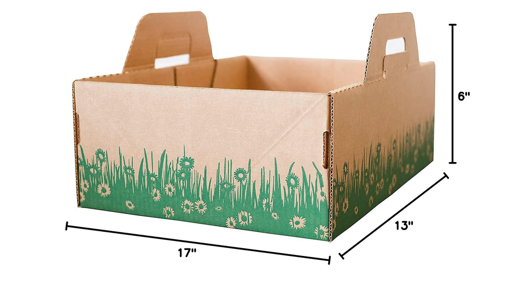 Biodegradable Disposable Litter Boxes 8-Pack Y67133