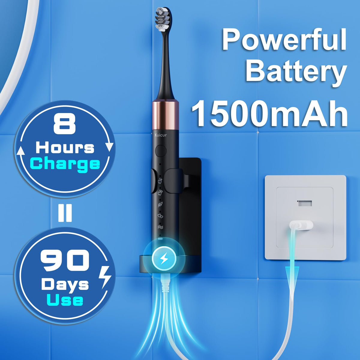 2 Pack Electric Toothbrush Black and Purple White Y654403