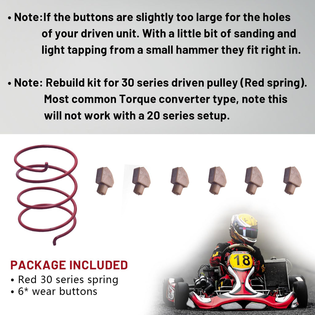 30 Series Torque Converter Driven Pulley Rebuild Kit A999