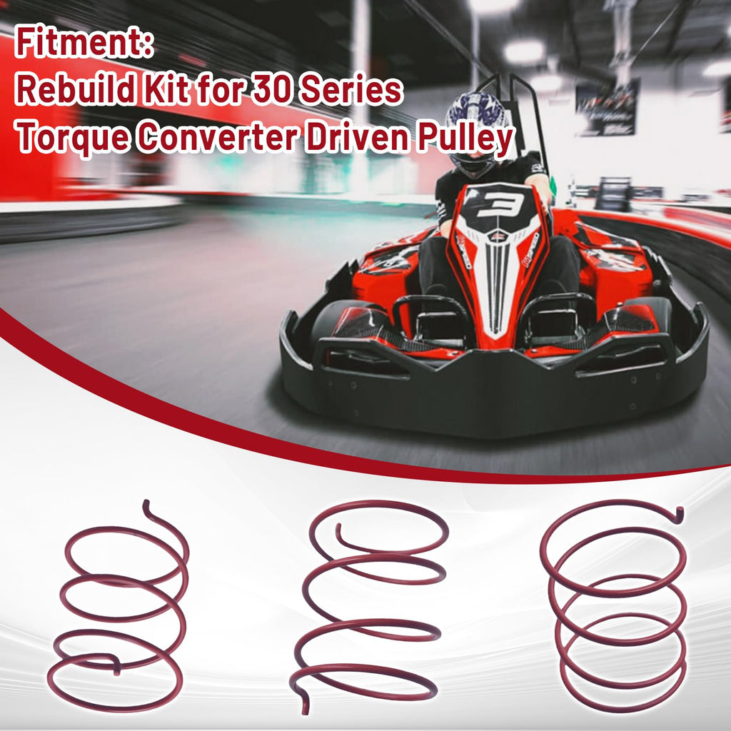 30 Series Torque Converter Driven Pulley Rebuild Kit A999