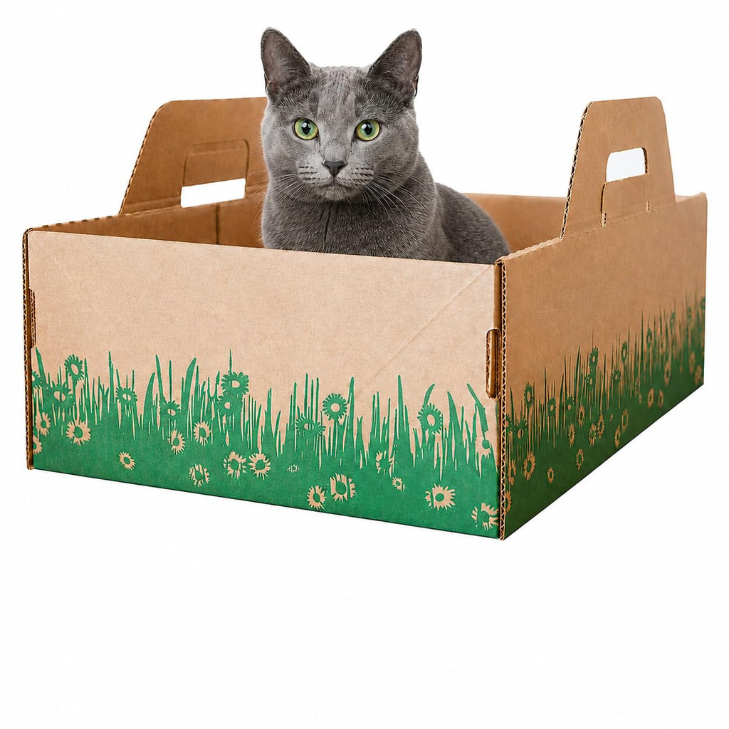 Biodegradable Disposable Litter Boxes 8-Pack Y67133