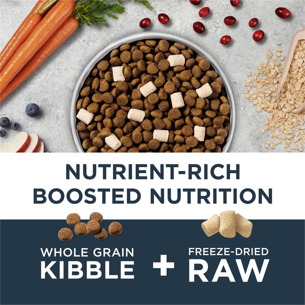 Chicken & Brown Rice Dry Dog Food O69942