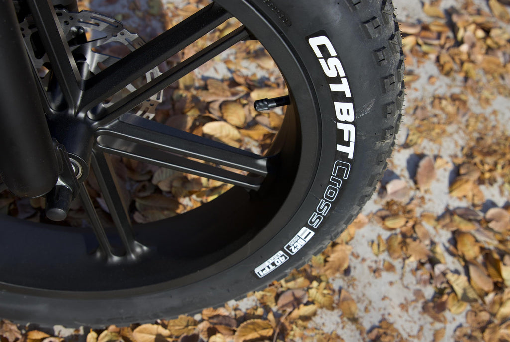 1000W Electric Bike 20" Fat Tire 7-Speed P31308