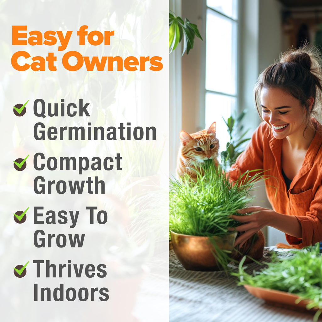 6 oz Heirloom Barley & Oat Cat Grass Seeds Z82222