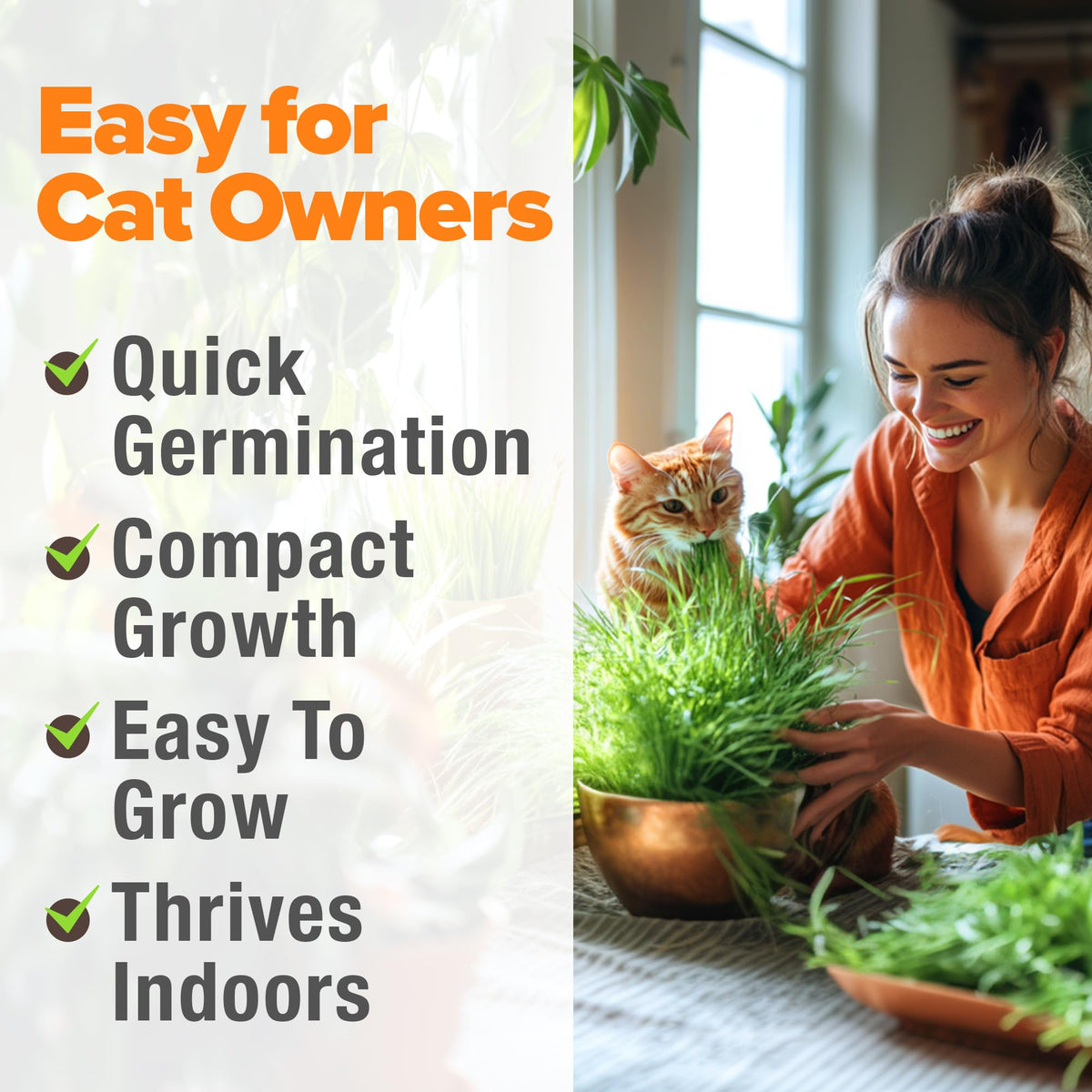 6 oz Heirloom Barley & Oat Cat Grass Seeds Z82222