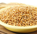 Hard White Spring Wheat Berries 25 Lb Bag I368130