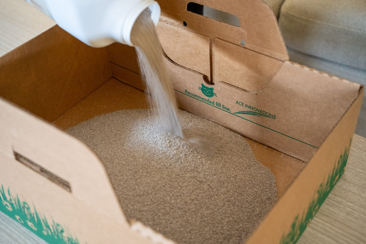 Biodegradable Disposable Litter Boxes 8-Pack Y67133