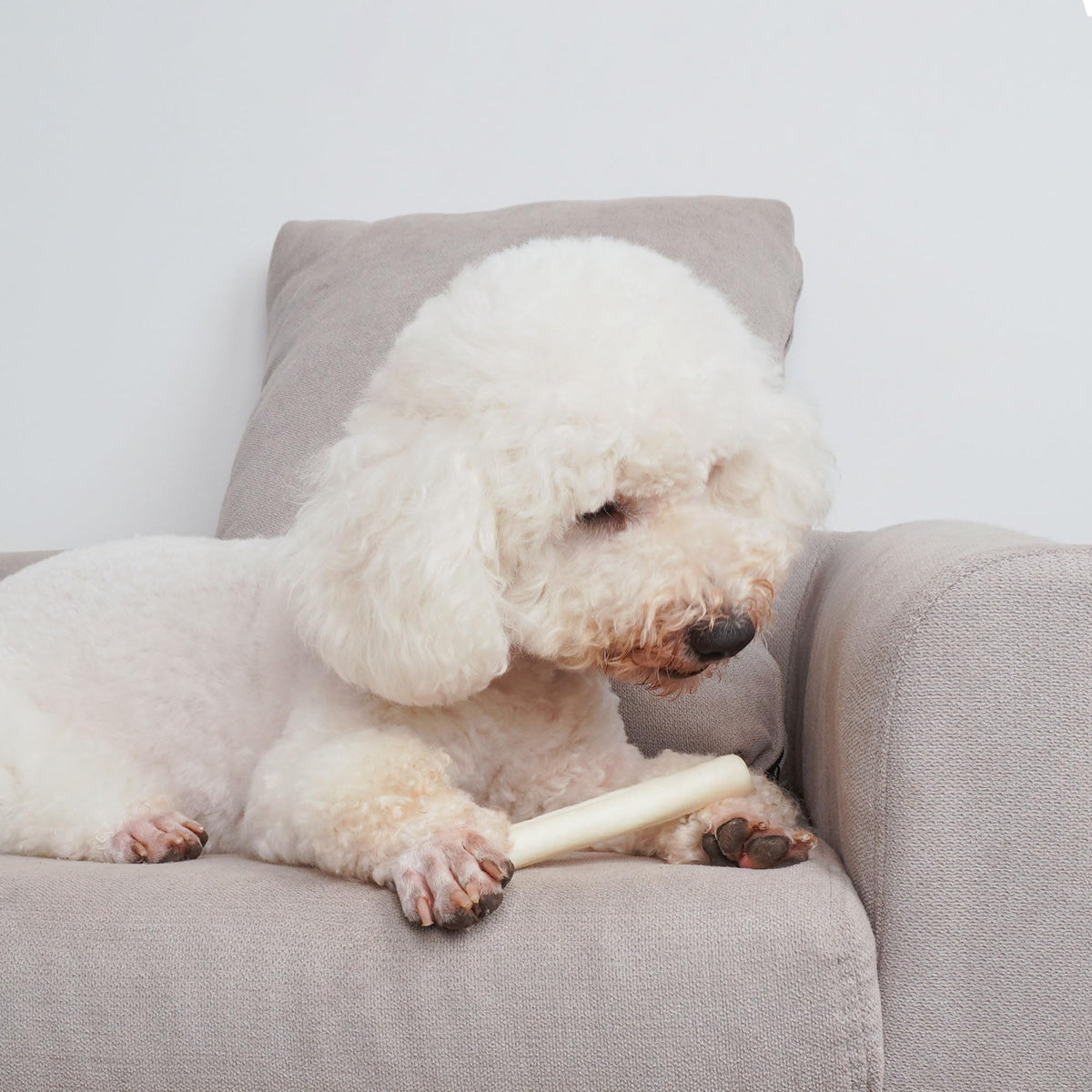 6Inch Natural Flavor Rawhide Rolls Dog Treats Z530