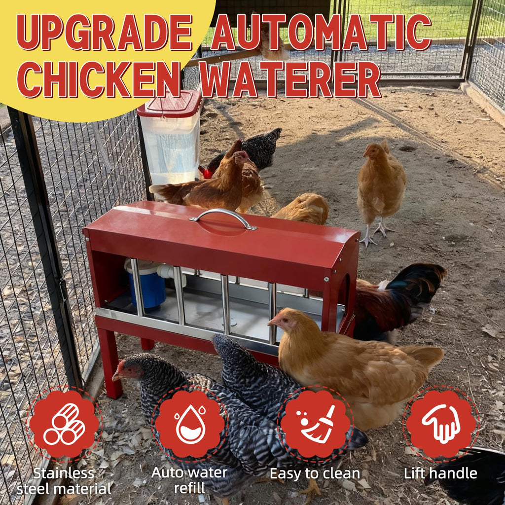 Automatic Chicken Waterer with Detachable Legs W341482