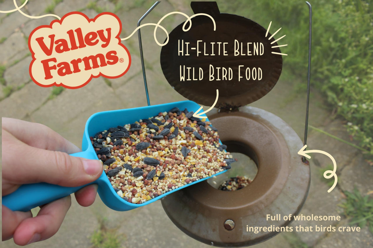 Wild Bird Food 20 LB J24055