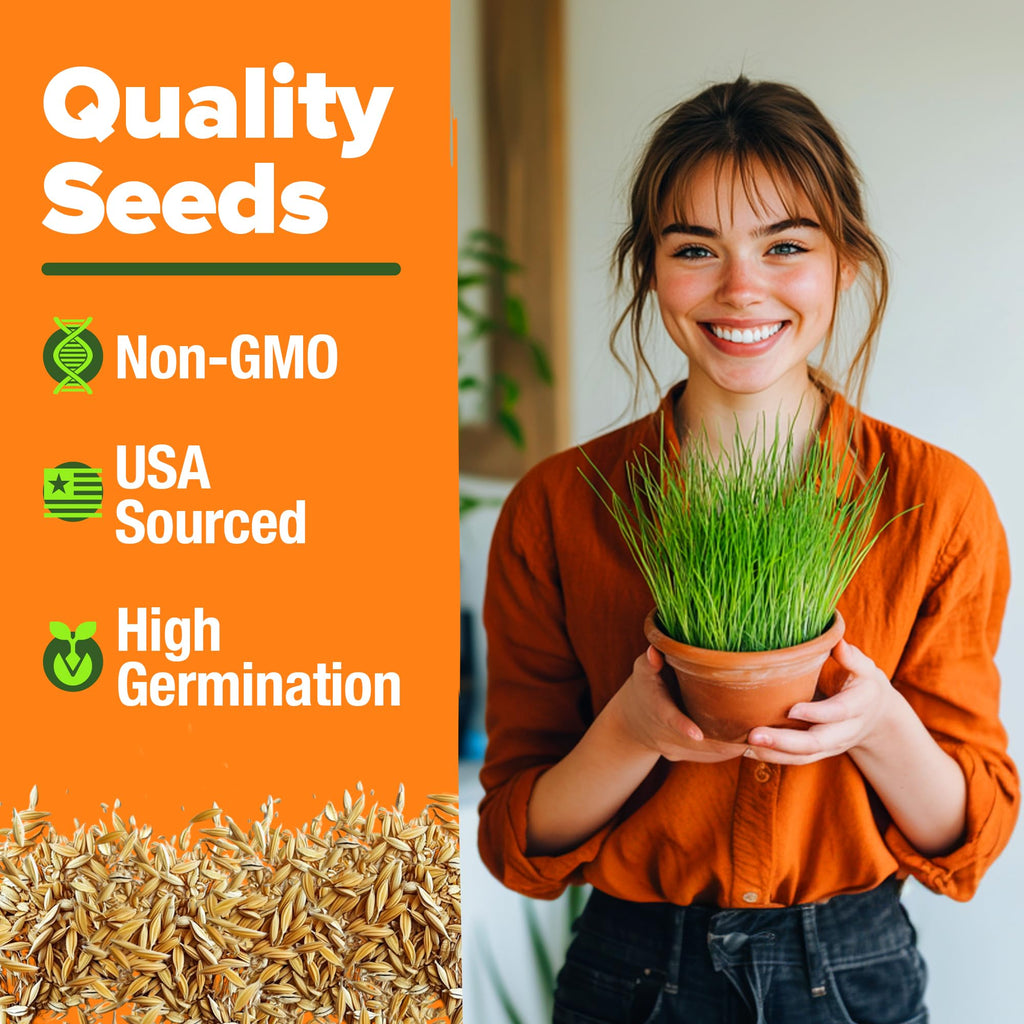 6 oz Heirloom Barley & Oat Cat Grass Seeds Z82222