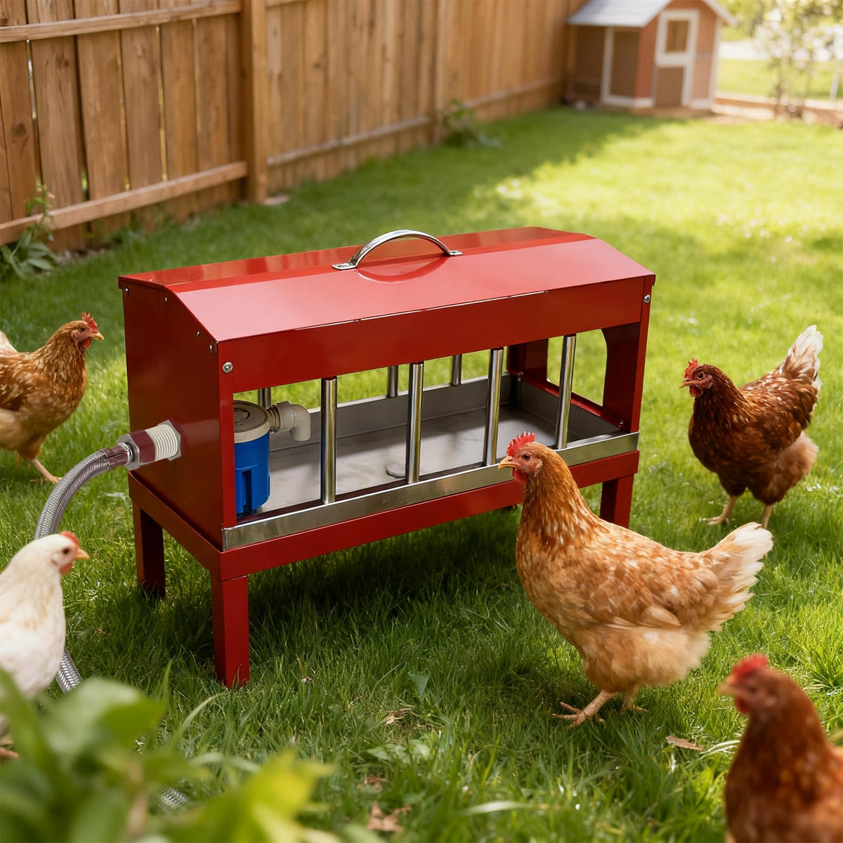 Automatic Chicken Waterer with Detachable Legs W341482