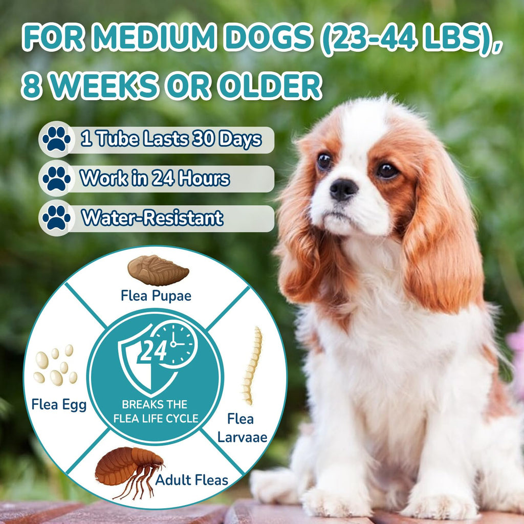 Flea and Tick Prevention for Medium Dogs U6812