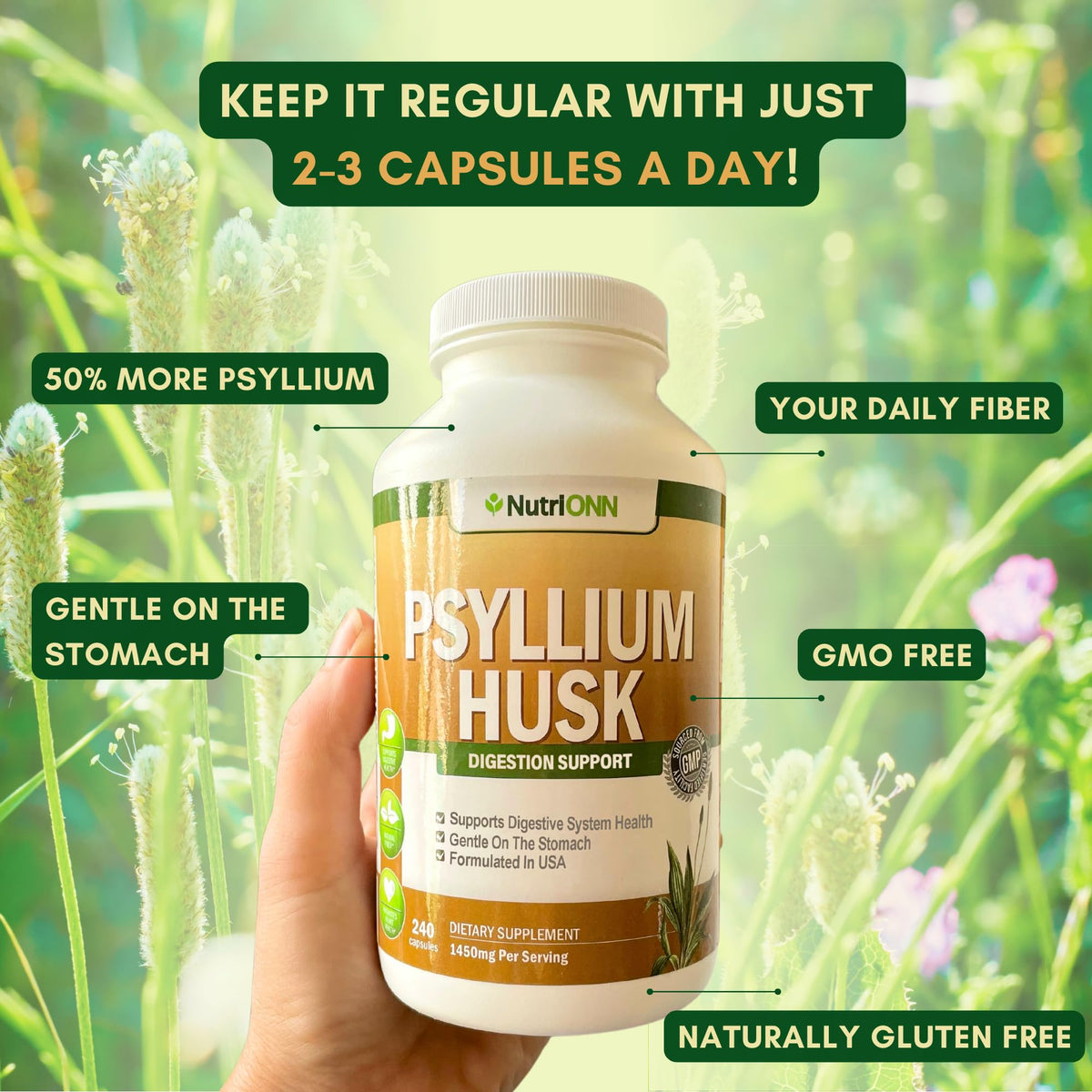 1450mg 240 Capsules Psyllium Husk Fiber Supplement V490