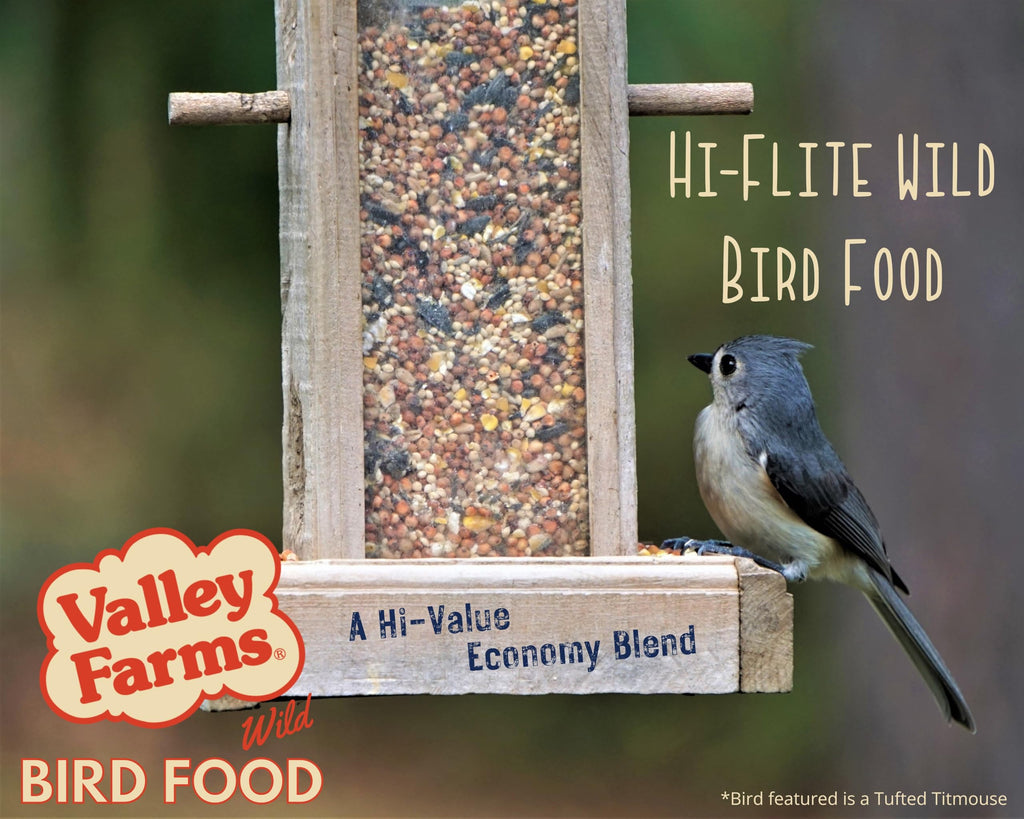 Wild Bird Food 20 LB J24055